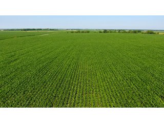 Property photo 5 - LAND AUCTION - 209.2+/- ACRES OFFERED IN 4 TRACTS IN NEWTON COUNTY, INDIANA